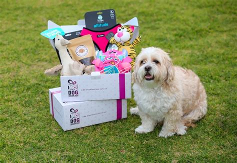 Dog subscription boxes. Things To Know About Dog subscription boxes. 